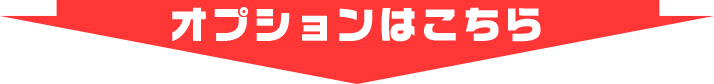 オプション加工はこちら